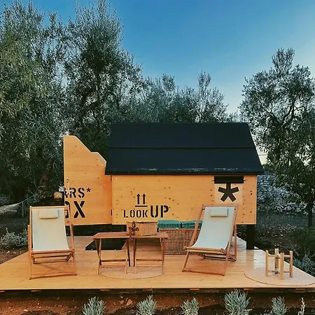 #starsboxtragliulivi