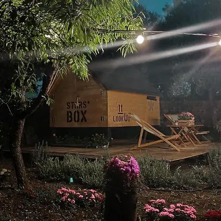 #starsboxtragliulivi